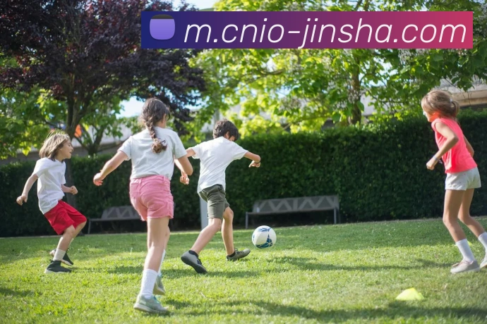 金沙国际平台生态图